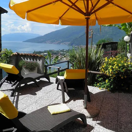 Rosato *